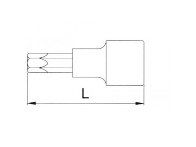 Головка торцевая с вставкой torx 1/2" T40 L=100мм