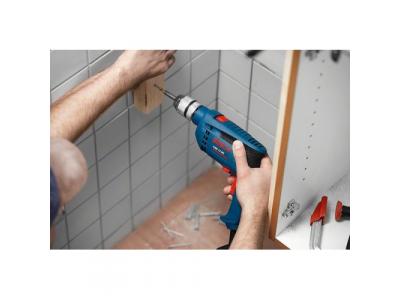 Ударная дрель GSB 13 RE Professional от BOSCH Ударная дрель GSB 13 RE Professional