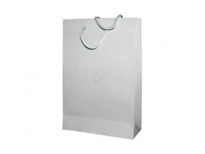 Бумажный подарочный пакет BMW Paper Bag, White, Size S от BMW Бумажный подарочный пакет BMW Paper Bag, White, Size S
